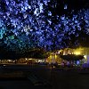 Foret suspendue47716